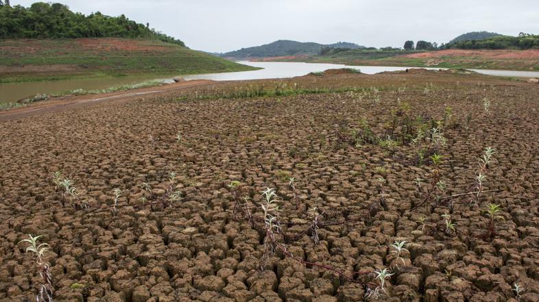 Suša v Sao Paulu