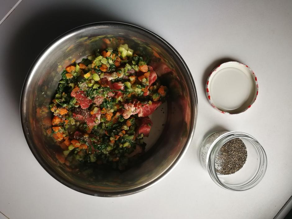 Zdrav pasji svet | Avtor: Osebni arhiv Katja Šneler