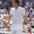 Andy Murray Wimbledon finale 