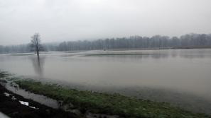 Sava je včeraj popoldne poplavljala tudi na območju Litije. (Foto: Benjamin Kova