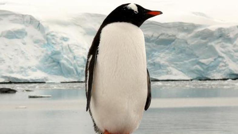 (Foto: Shutterstock)