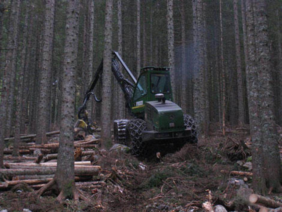  | Avtor: Žurnal24 main