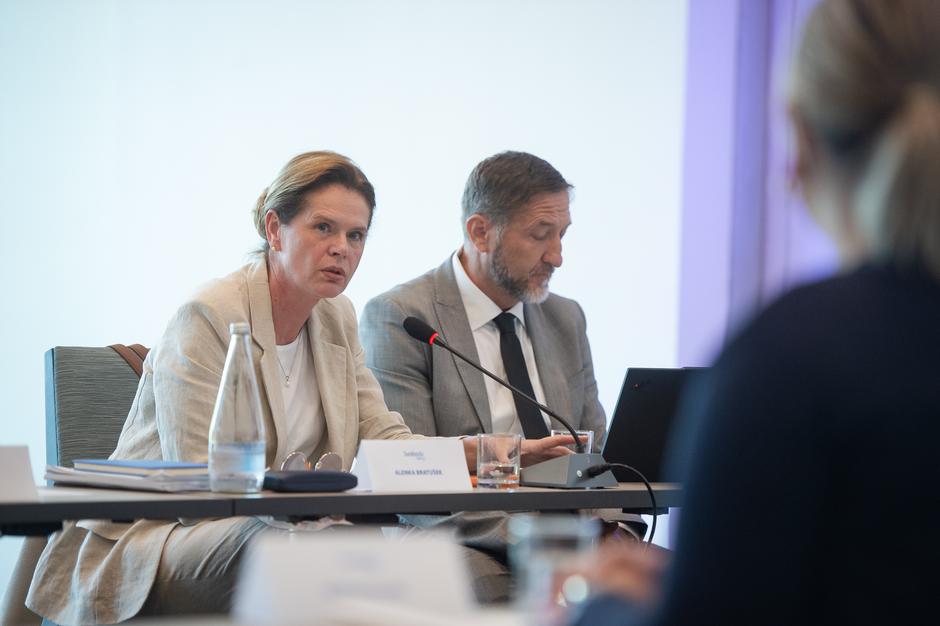 Vlada v senci | Avtor: Anže Petkovšek