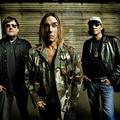 Ron Asheton in Iggy Pop, dve tretjini The Stooges, ki bodo v ponedeljek nastopil
