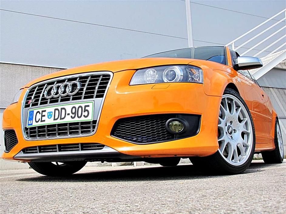 Zbor audijev v Trebnjem