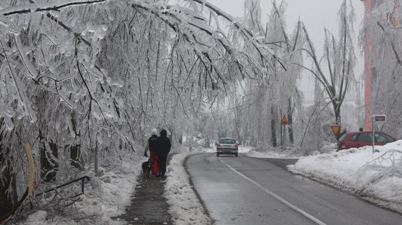 Snežna ujma v Postojni