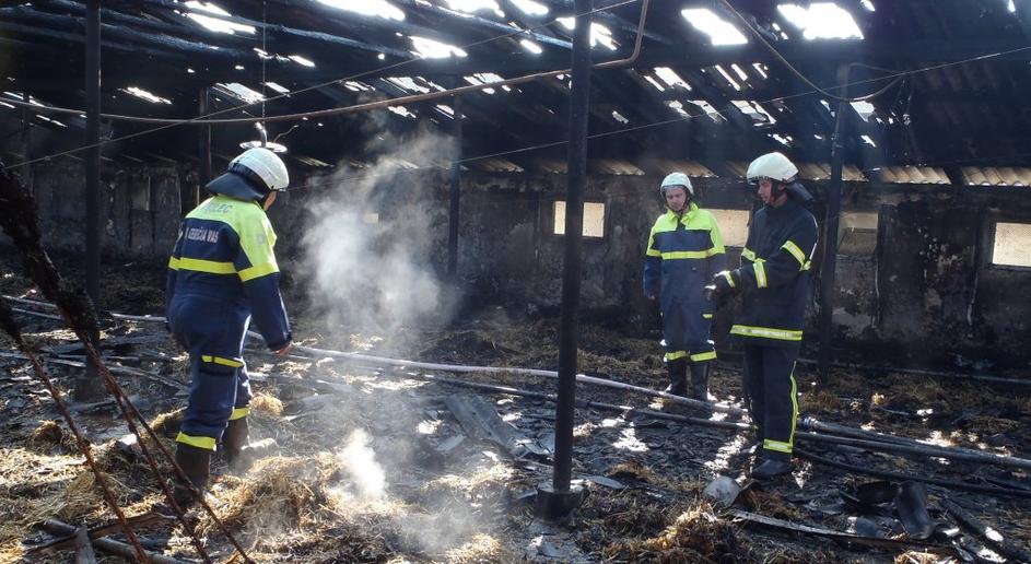 požar, farma piščancev, Hajdina, Ptuj