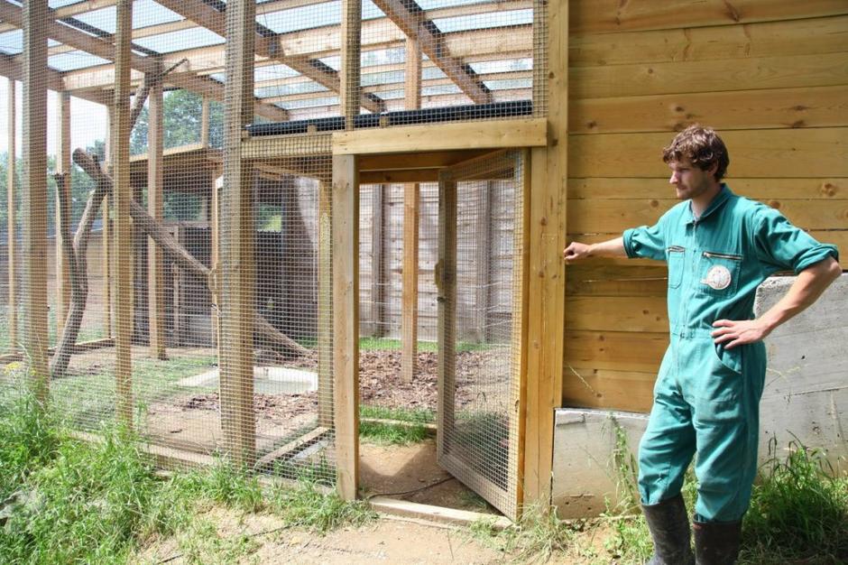 Azil za divje živali | Avtor: Nino Verdnik