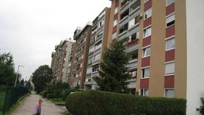 Planina (Foto: Iztok Golob)