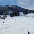 Smučanje, Kranjska Gora, turizem, sneg, rekreacija, zima