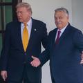 Donald Trump in Viktor Orban