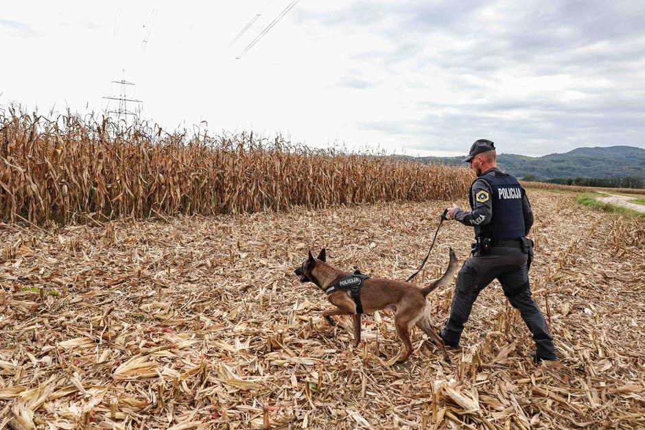 begunci | Avtor: Saša Despot