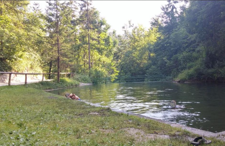 Star Maln | Avtor: Katja Dobrijević