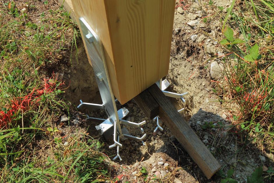 Les zunaj | Avtor: Profimedia