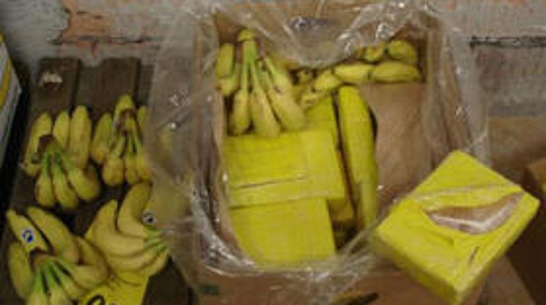 Uslužbenec supermarketa je v dveh zabojčkih z bananami odkril 28 kilogramov koka