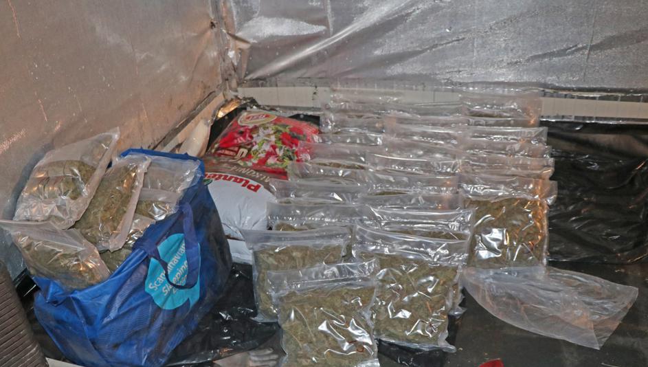 laboratorij droga marihuana idrija