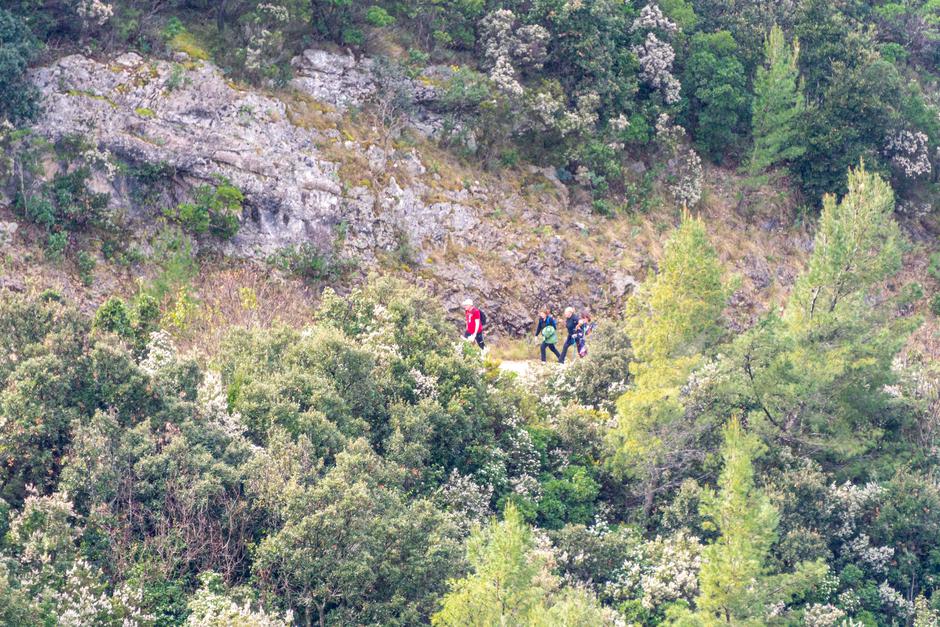  | Avtor: Dimitri Medvedev