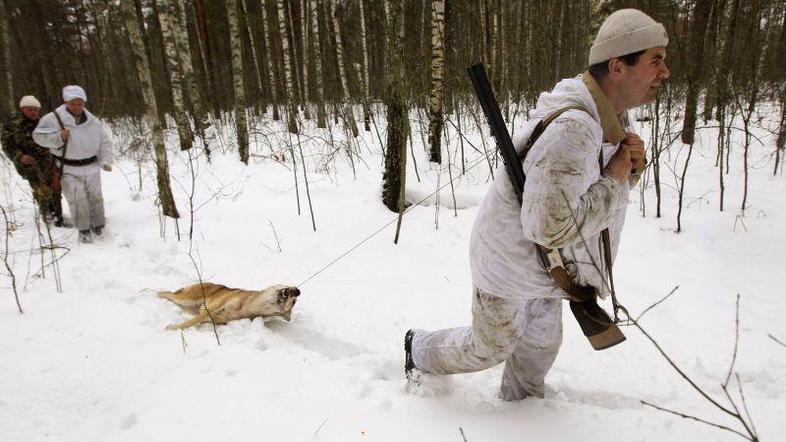 Švedski lovci v akciji. Letos lahko ubijejo le še tri živali. (Foto: Reuters)