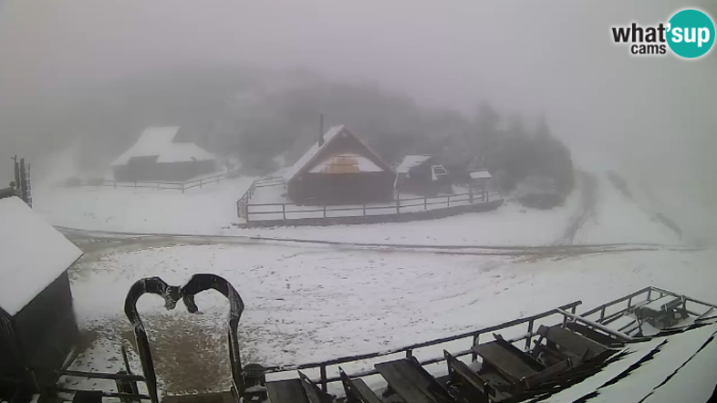 Sneg, spletne kamere