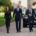 Princ William in Harry