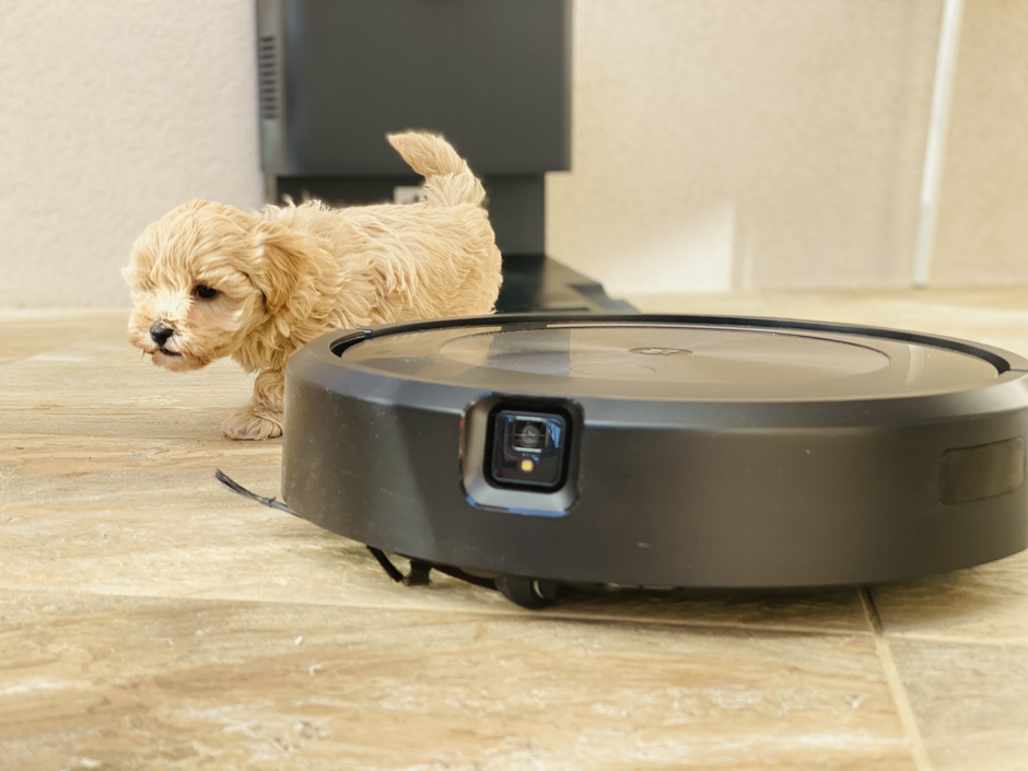 Nova Roomba | Avtor: iRobot