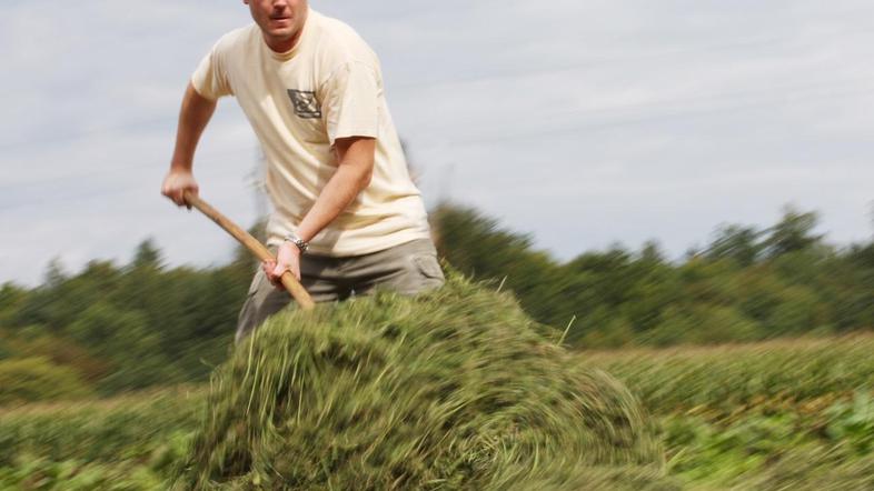 Kmetje so bili v prvih 11 mesecih lani na bolniškem dopustu na stroške ZZZS 90.5