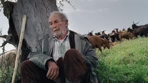 Film bo na rednem sporedu do 21. junija 2011. (Foto: Kinodvor)