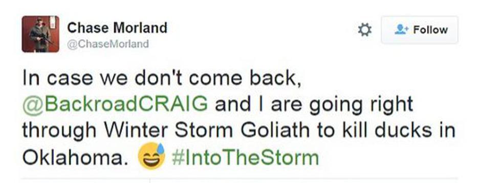 chase morland | Avtor: Reševalni pas/Twitter