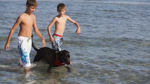 pes v morju