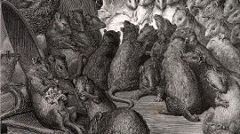 Potovale so kot slepi potniki.