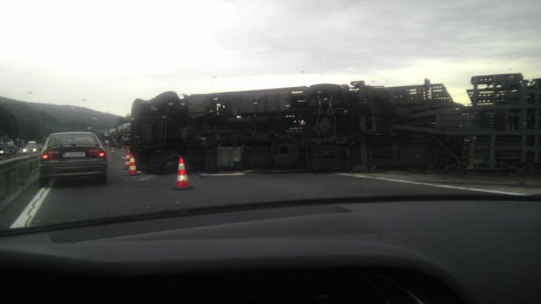 nesreča na Primorki 