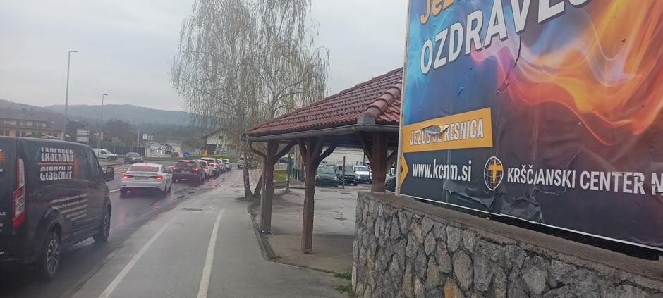 silvo mesojedec | Avtor: D. M.