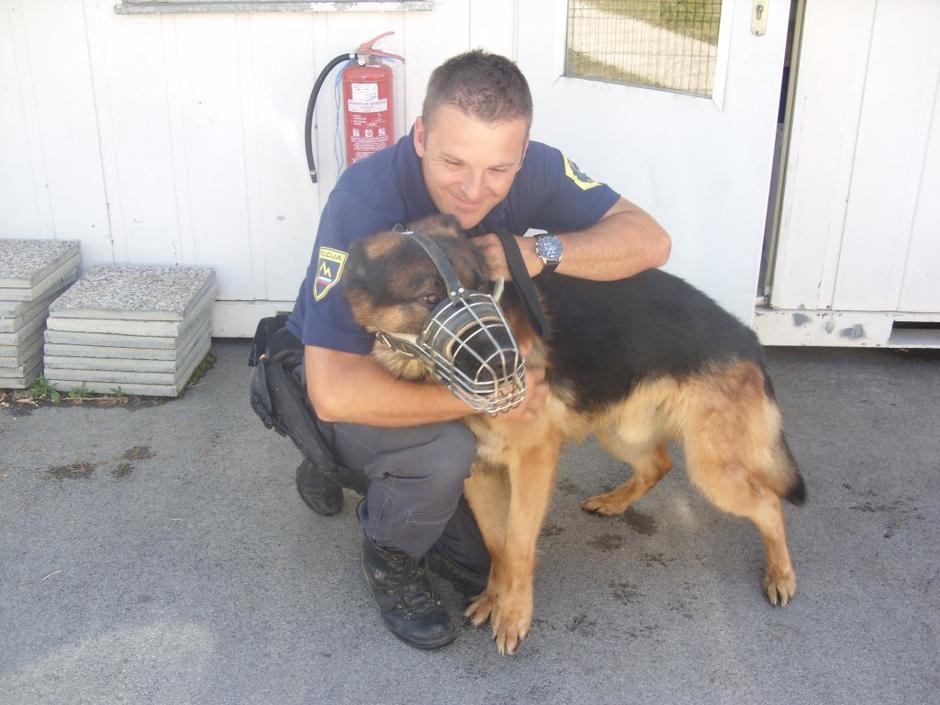 Policijski pes | Avtor: Žurnal24 main