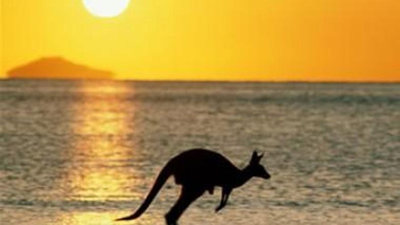 (Foto: Pokernews.si)