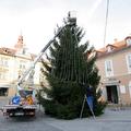 Praznična smrečica pred občinsko stavbo je že okrašena. (Foto: Nino Verdnik)