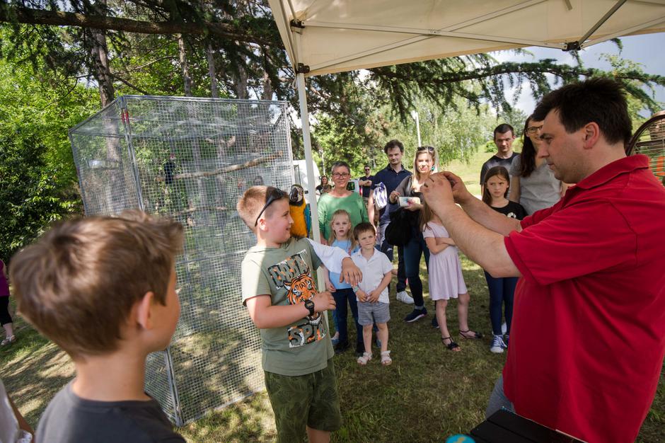 Dežela prijateljev | Avtor: Anže Petkovšek