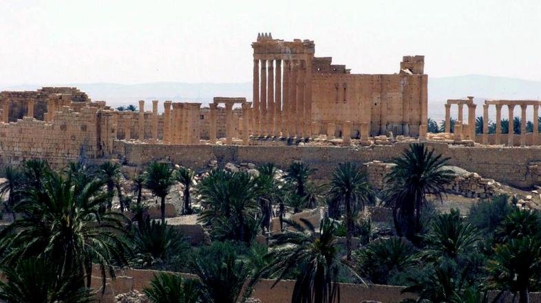 Palmyra