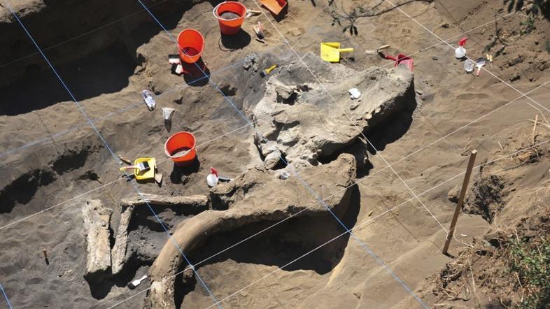 Izkopavanje mamuta