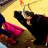 Pomožni bikoborec skuša ubiti bika Ell Plantia v ringu v Burgosu.