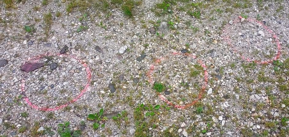 Milan Seršen | Avtor: D. M.