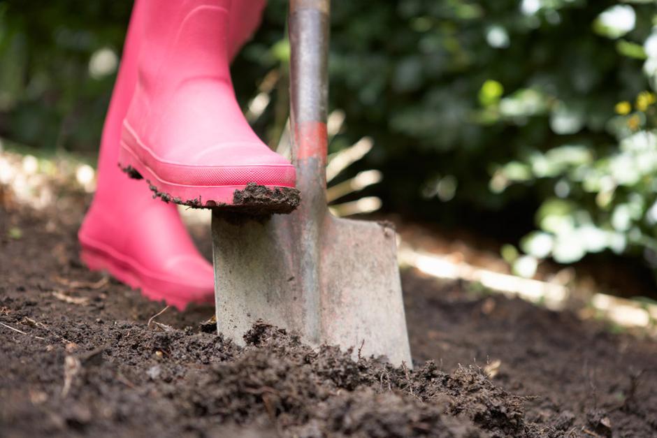 vrtnarjenje | Avtor: Shutterstock