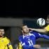 Litva Bosna in Hercegovina kvalifikacije za SP 2014 Džeko