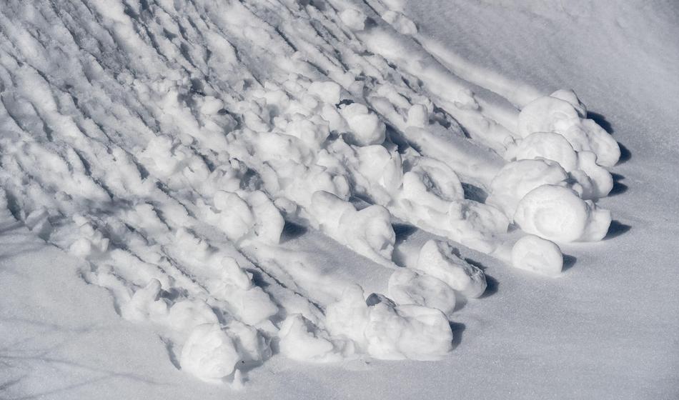 Po prvih podatkih v plazu udeleženi Slovenci