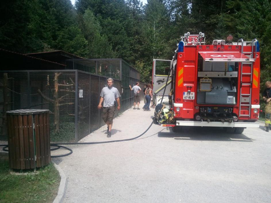 požar v ljubljanskem živalskem vrtu