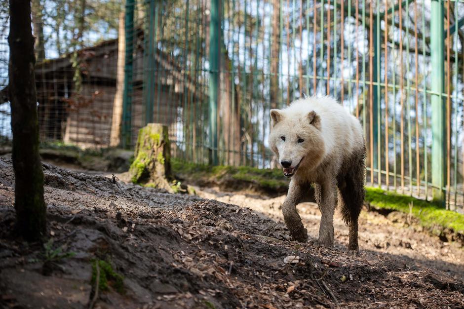 Zoo Park Rožman | Avtor: Anže Petkovšek