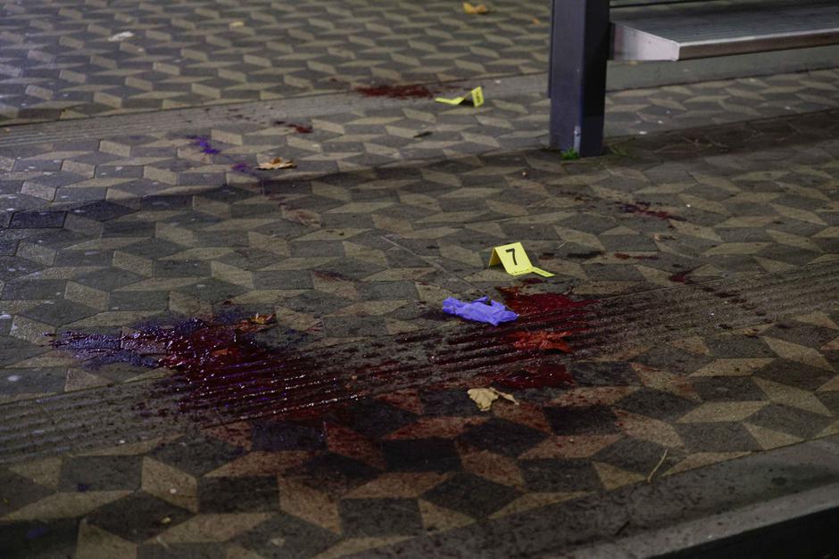 bavarski dvor | Avtor: Saša Despot