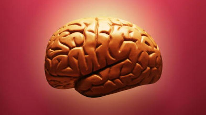 Poškodbe glave zahtevajo še posebno pozornost. (Foto: iStockphoto)