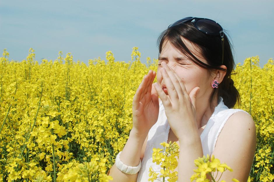 cvetni prah seneni nahod | Avtor: Shutterstock