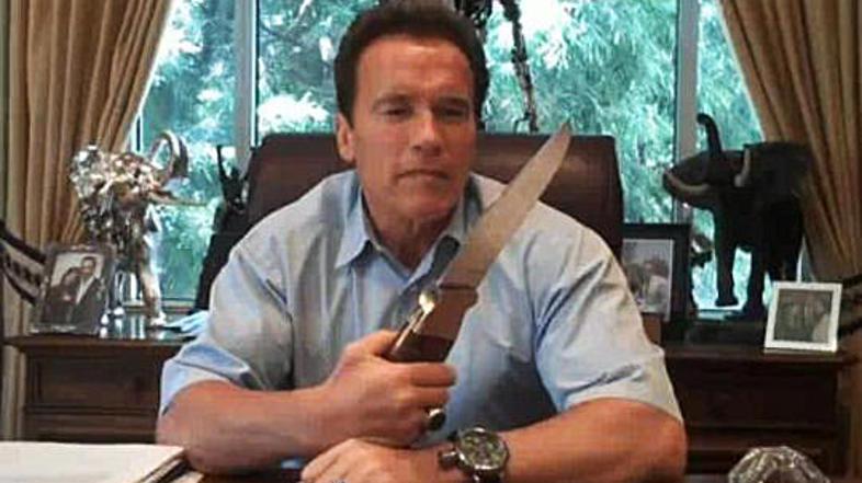 Arnie je leta 2004 in 2005 "pozabil" plačati za okoli 80.000 dolarjev dohodnine.