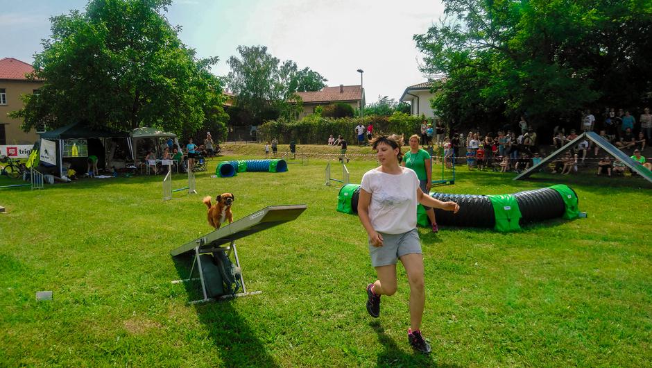 Ana in Lola | Avtor: Jaša Levstik